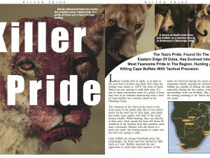 Killer Pride