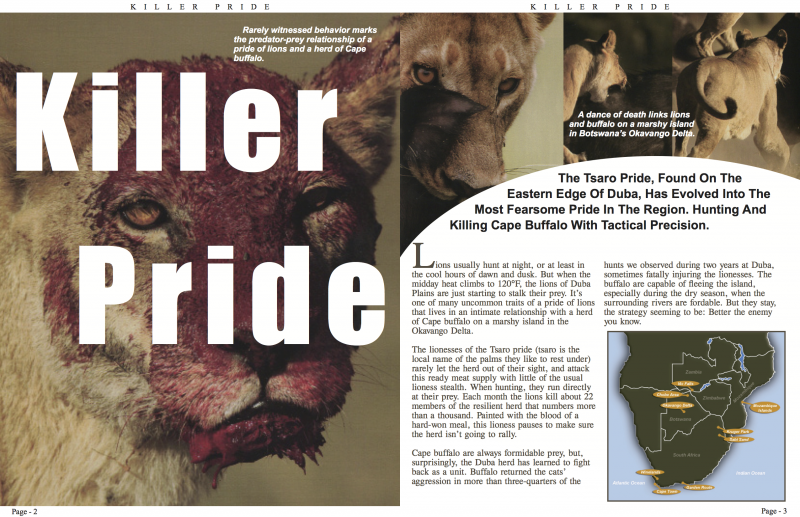 Killer Pride magazine spread